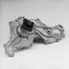 HEPU P295 Water Pump